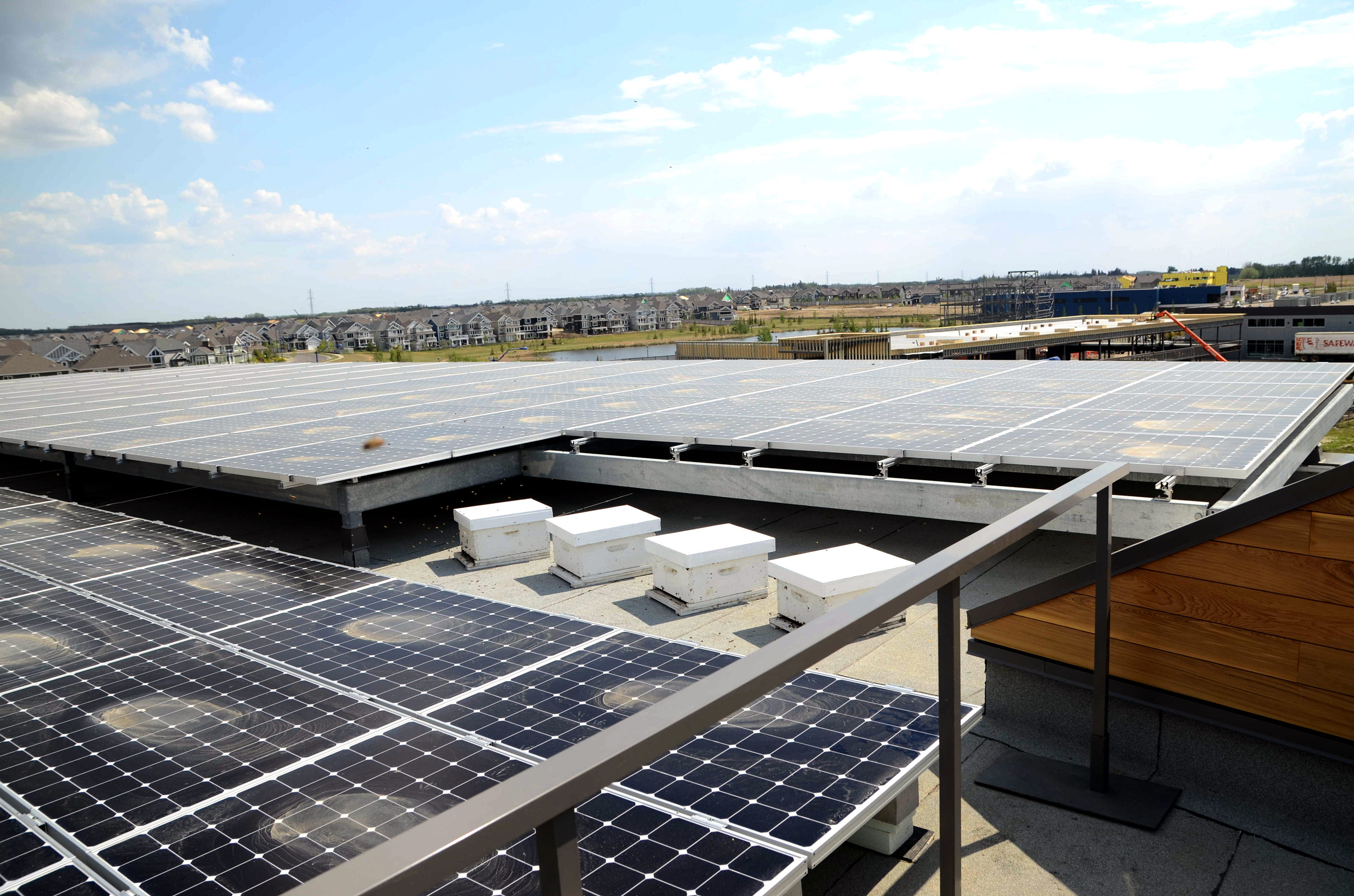 Beehives on the rooftop of the Mosaic Centre amongst the solar panel array